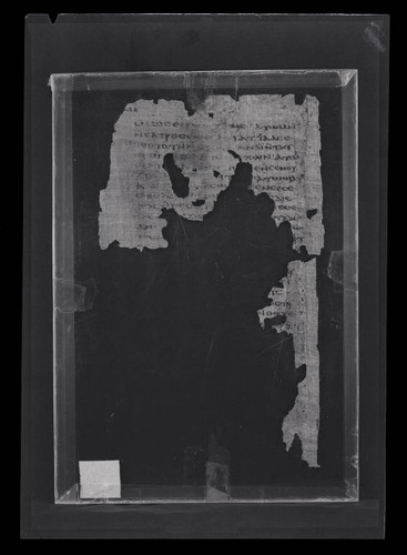Codex IV, papyrus page 42