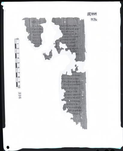 Codex IV, papyrus page 44