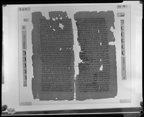 Codex I, papyrus pages 8 and 77