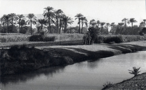 Postcard of a canal in Egypt