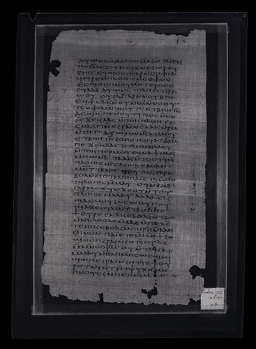 Codex VII, papyrus page 107