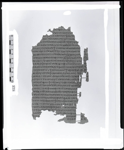 Codex XIII, papyurs page 47