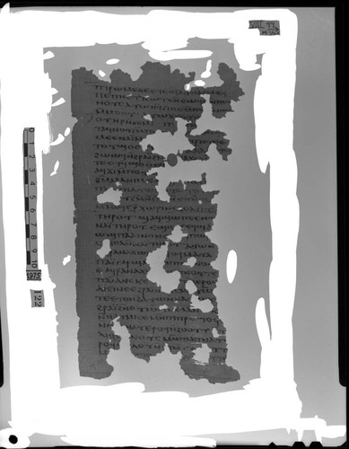 Codex VIII, papyrus page 44