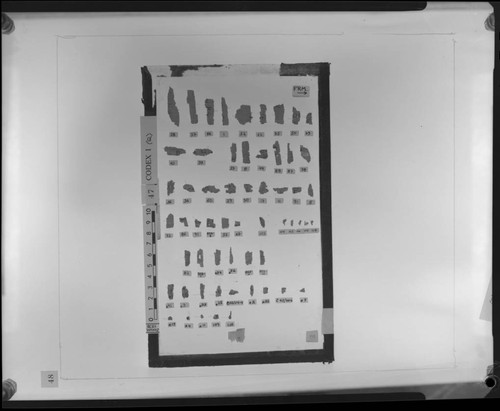 Codex I, papyrus fragments