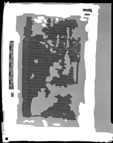 Codex VIII, papyrus page 30