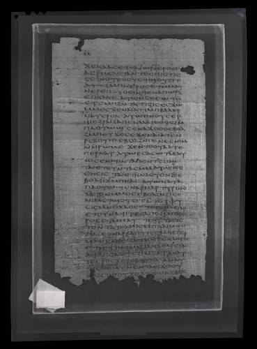 Codex VII, papyrus page 40