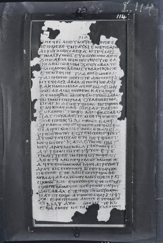 Codex I, papyrus page 114