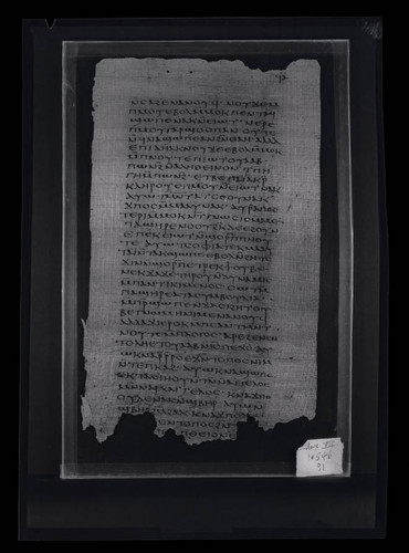 Codex VII, papyrus page 91
