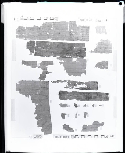 Codex VIII, remnants Ie-5e and 6e-19e