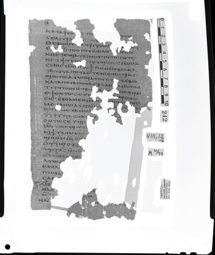 Codex VIII, papyrus page 12