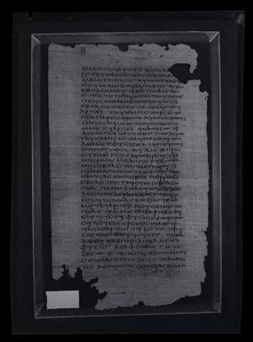 Codex VII, papyrus page 8