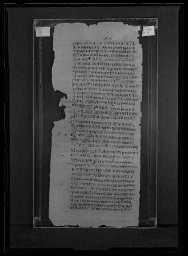 Codex I, papyrus page 38