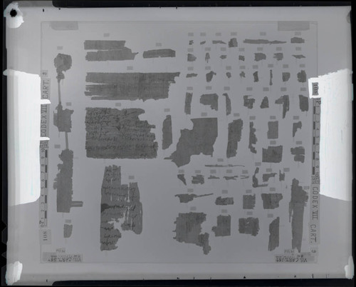 Codex VII, remnants 26e-35e and 36e-88e