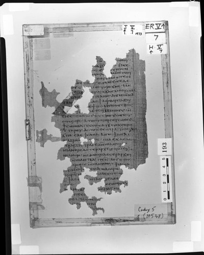 Codex V papyrus page 7