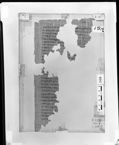 Codex IV papyrus page 43