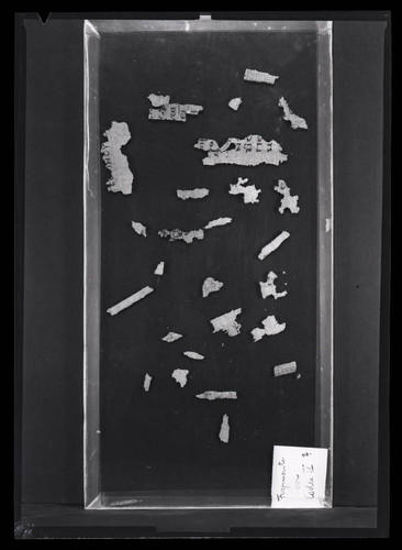 Codex IV, papyrus fragments A