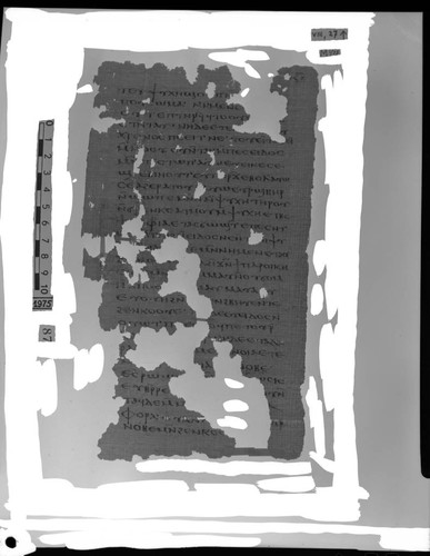 Codex VIII, papyrus page 27