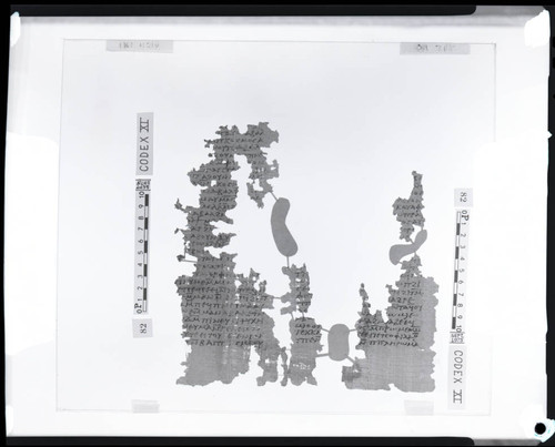 Codex XI, papyrus pages 42 and 31