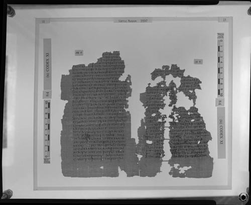 Codex XI, papyrus pages 58 and 13