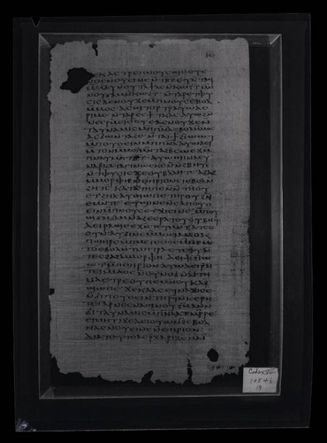 Codex VII, papyrus page 19