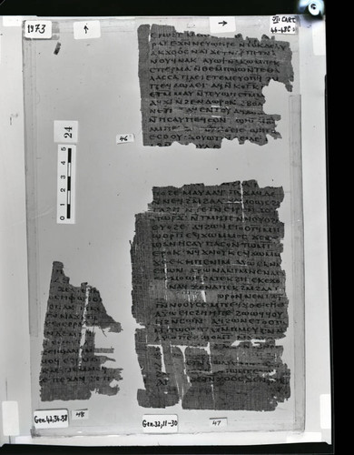 Codex VII cartonnage fragments