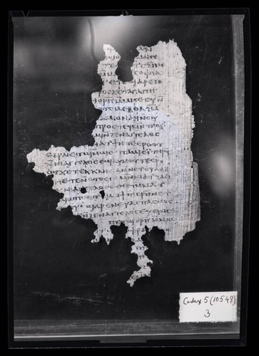 Codex V, papyrus page 9