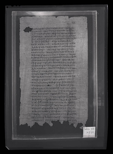Codex VII, papyrus page 31