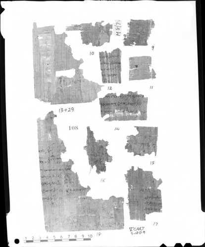 Codex V cartonnage fragments