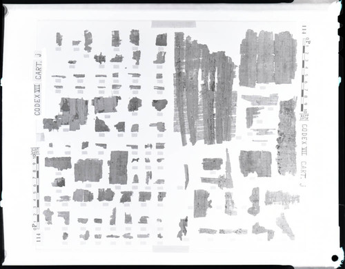 Codex VII, remnants 100e-119e and 120e-189e