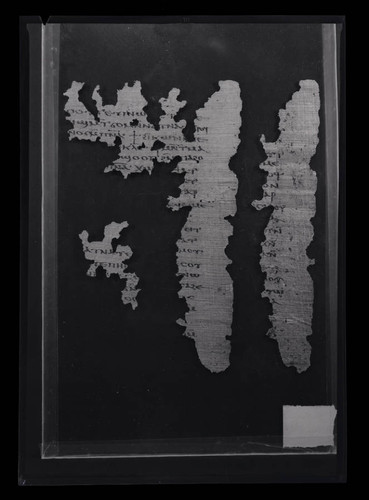 Codex VIII, papyrus page 97 & 99