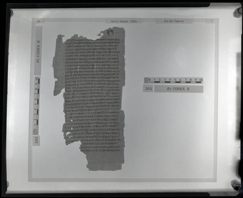 Codex II, papyrus page 94