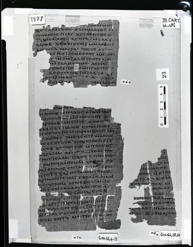 Codex VII cartonnage fragments