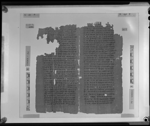 Codex I, papyrus pages 60 and 25