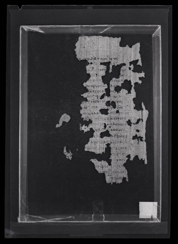 Codex IV, papyrus page 80