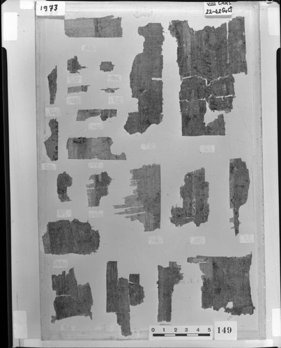 Codex VIII cartonnage fragments, verso