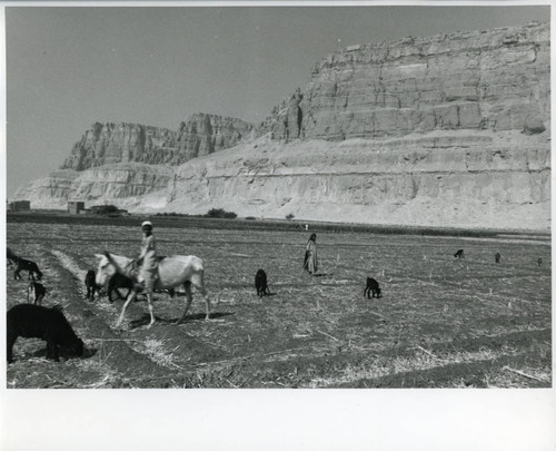 Izbat al-Būṣah and Jabal al-Ṭārif cliff