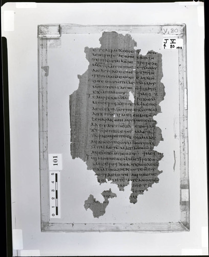 Codex V papyrus page 80