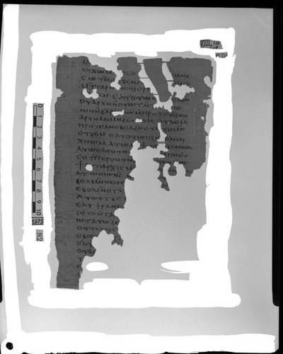 Codex VIII, papyrus page 14