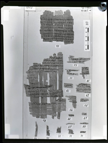 Codex VII cartonnage fragments — Calisphere