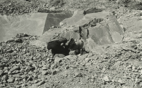 Scholars at Jabal al-Ṭārif