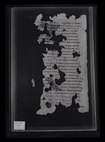 Codex VIII, papyrus page 43