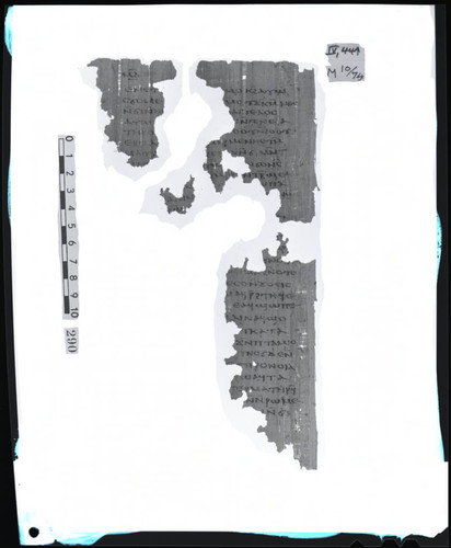 Codex IV, papyrus page 44