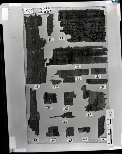 Codex VII cartonnage fragments