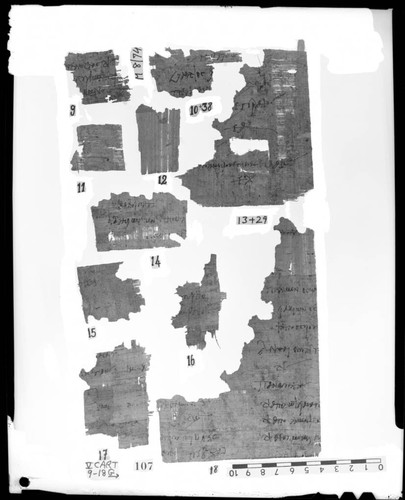 Codex V cartonnage fragments