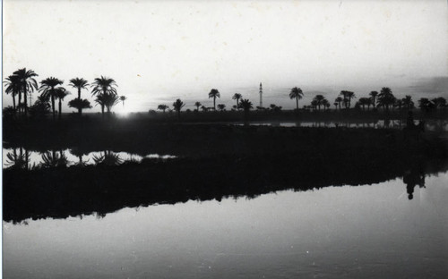 Postcard of palm trees near a body of water