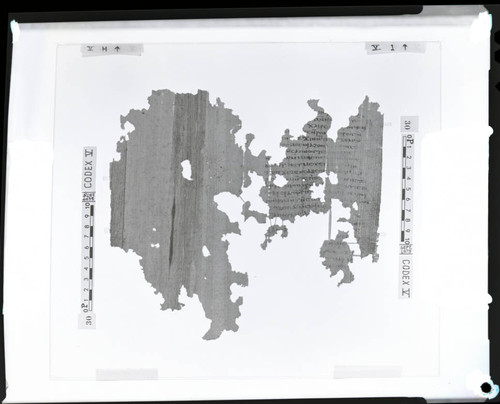 Codex V flyleaf H and papyrus page 1