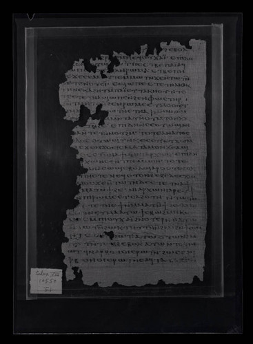 Codex VIII, papyrus page 137