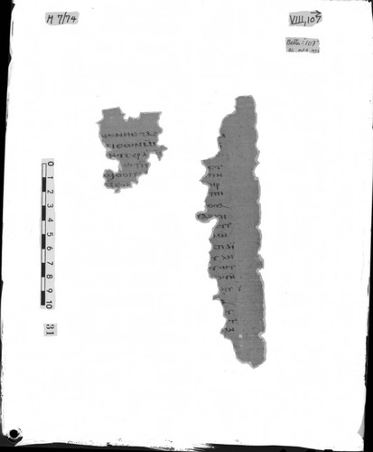 Codex VIII papyrus page 107