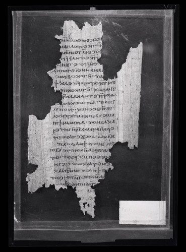 Codex V, papyrus page 56