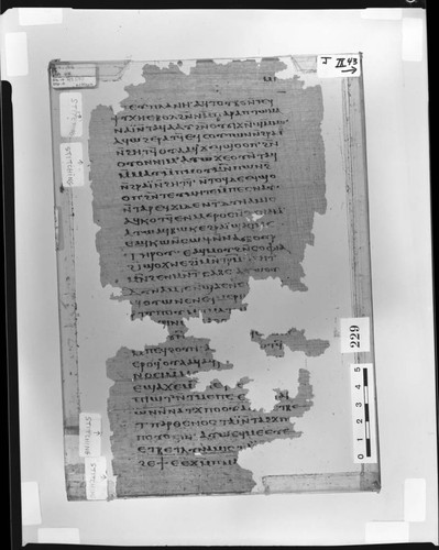 Codex IX papyrus page 43